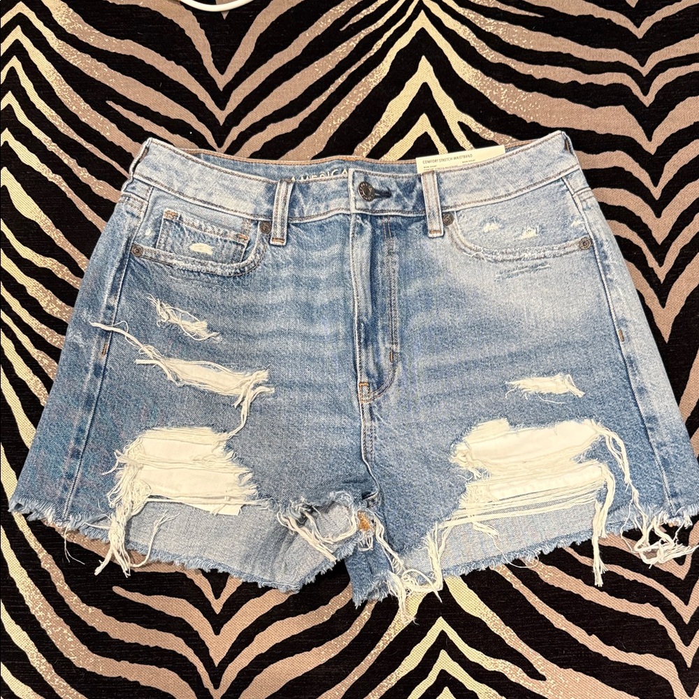American Eagle Outfitters Light Blue Distressed Mom Shorts